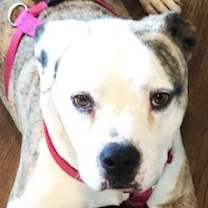 Thumbnail photo of Sunday (CP) #1