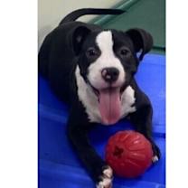 Thumbnail photo of Gwen #2