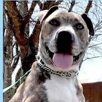 Thumbnail photo of Bella (CP) #2