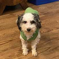 Thumbnail photo of Macy #1