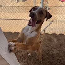 Thumbnail photo of Naveen #1