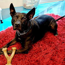 Thumbnail photo of Blake #1