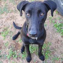 Thumbnail photo of Bonnie #1