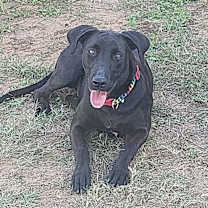 Thumbnail photo of Bonnie #2