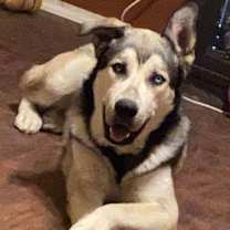 Thumbnail photo of Kazu #1