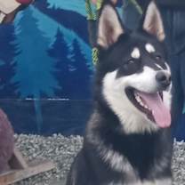 Thumbnail photo of Maui #1