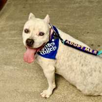 Thumbnail photo of Axel #1