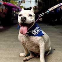 Thumbnail photo of Axel #2