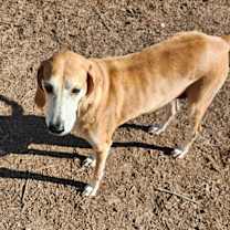 Thumbnail photo of Breezy #1