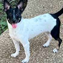 Thumbnail photo of Macy #1