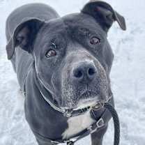 Thumbnail photo of Trinity #2