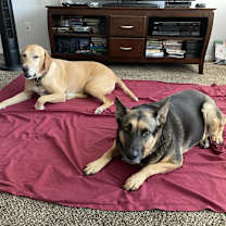 Thumbnail photo of Maya #3