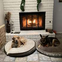 Thumbnail photo of Maya #2