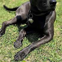 Thumbnail photo of Zuko #4