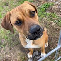 Thumbnail photo of Sadie #1