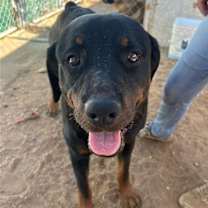 Thumbnail photo of Cielita - ** #4