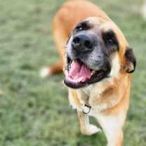 Thumbnail photo of Suzie Q #1