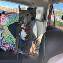 Thumbnail photo of Nyla #2