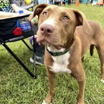 Thumbnail photo of Clarey #1