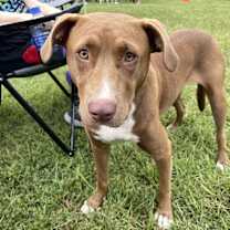 Thumbnail photo of Clarey #3