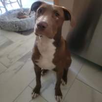 Thumbnail photo of Clarey #4