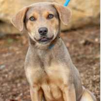 Thumbnail photo of Vie #1