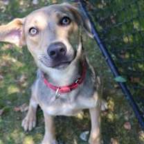 Thumbnail photo of Vie #2