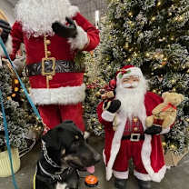 Thumbnail photo of SCHWARTZ #3