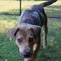 Thumbnail photo of Vie #3