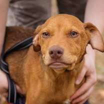 Thumbnail photo of Kix #1