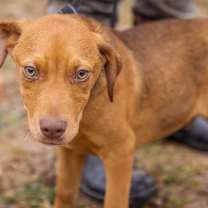 Thumbnail photo of Kix #2