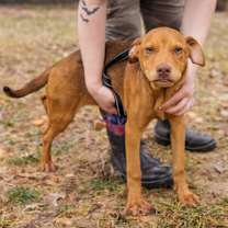 Thumbnail photo of Kix #3