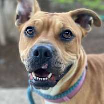 Thumbnail photo of Tatum #1