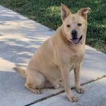 Thumbnail photo of PONCHITO #2