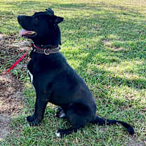 Thumbnail photo of Gunner #3