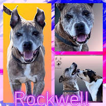 Thumbnail photo of Rockwell #4