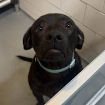 Thumbnail photo of Maxene #3