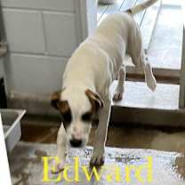 Thumbnail photo of Edward #2