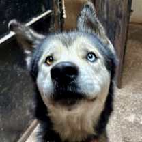 Thumbnail photo of Kazu #4