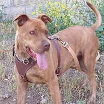 Thumbnail photo of Covi #3