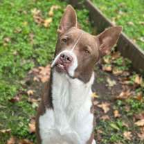 Thumbnail photo of Bernie #1