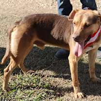 Thumbnail photo of Picasso #4