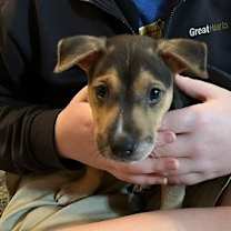 Thumbnail photo of Prince #2