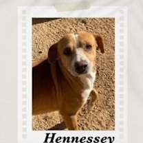 Thumbnail photo of Hennessey #1