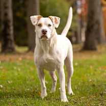 Thumbnail photo of Micah - 24033 #1