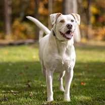 Thumbnail photo of Micah - 24033 #2