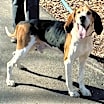 Thumbnail photo of Bo #1