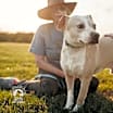 Thumbnail photo of Koda #1