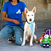 Thumbnail photo of PALOMO #1
