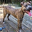Thumbnail photo of Frannie #4